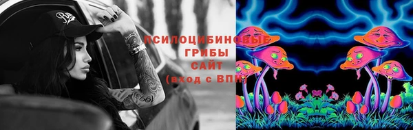 мдпв Киренск