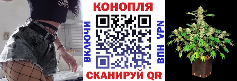 Бошки марихуана индика  Шарыпово 